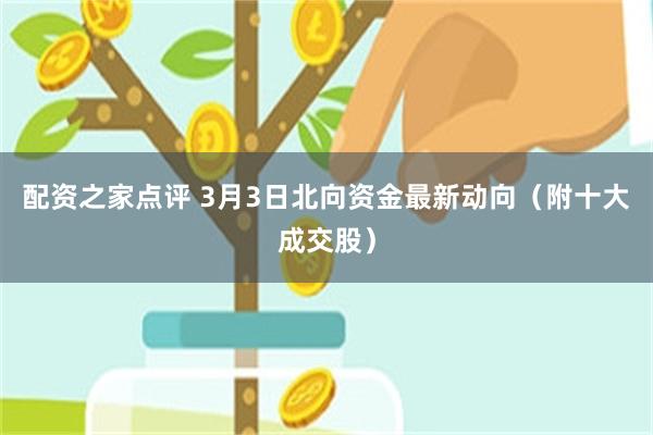 配资之家点评 3月3日北向资金最新动向（附十大成交股）