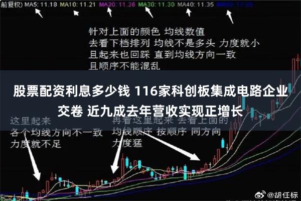 股票配资利息多少钱 116家科创板集成电路企业交卷 近九成去年营收实现正增长