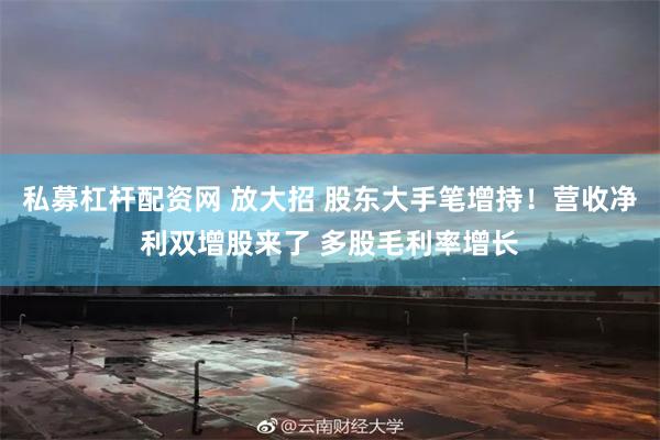 私募杠杆配资网 放大招 股东大手笔增持！营收净利双增股来了 多股毛利率增长