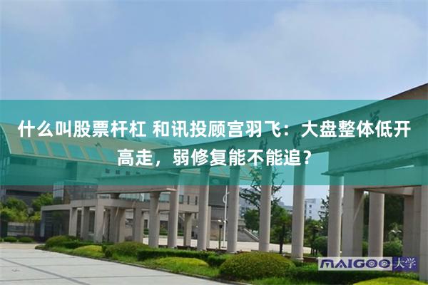 什么叫股票杆杠 和讯投顾宫羽飞：大盘整体低开高走，弱修复能不能追？