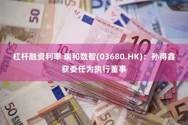 杠杆融资利率 瑞和数智(03680.HK)：孙得鑫获委任为执行董事