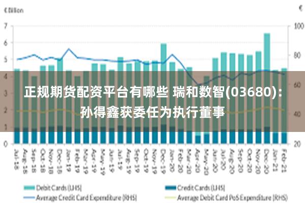正规期货配资平台有哪些 瑞和数智(03680)：孙得鑫获委任为执行董事