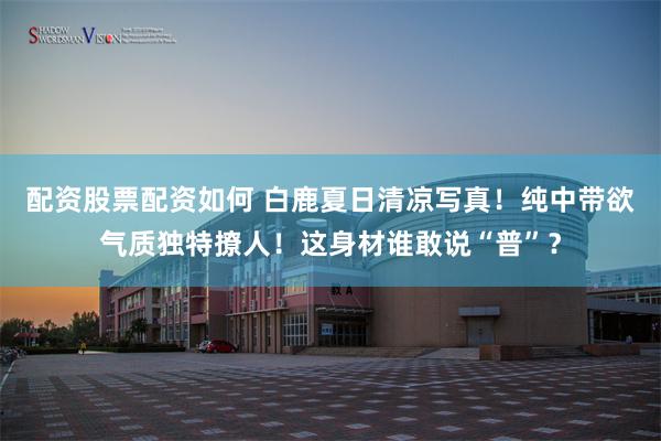配资股票配资如何 白鹿夏日清凉写真！纯中带欲气质独特撩人！这身材谁敢说“普”？