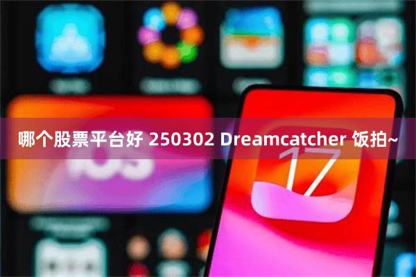 哪个股票平台好 250302 Dreamcatcher 饭拍~