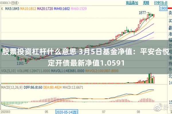 股票投资杠杆什么意思 3月5日基金净值：平安合悦定开债最新净值1.0591