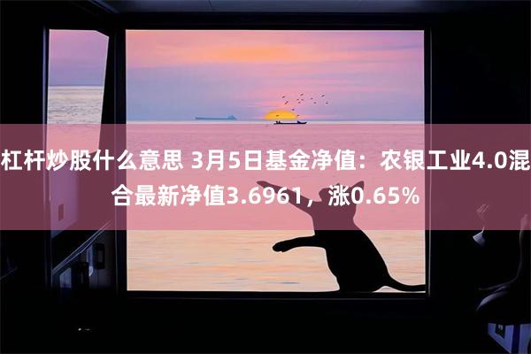 杠杆炒股什么意思 3月5日基金净值：农银工业4.0混合最新净值3.6961，涨0.65%