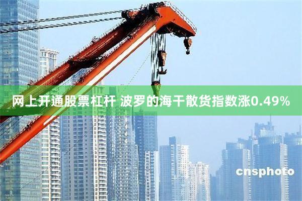网上开通股票杠杆 波罗的海干散货指数涨0.49%
