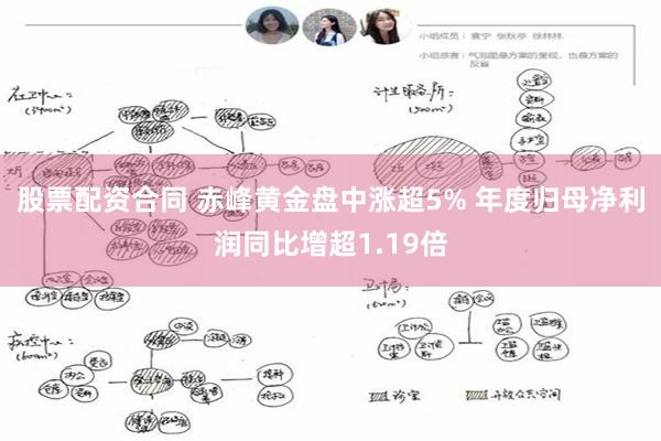 股票配资合同 赤峰黄金盘中涨超5% 年度归母净利润同比增超1.19倍