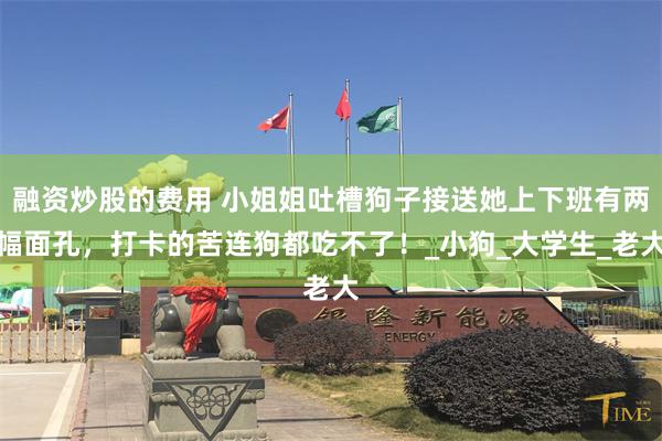 融资炒股的费用 小姐姐吐槽狗子接送她上下班有两幅面孔，打卡的苦连狗都吃不了！_小狗_大学生_老大