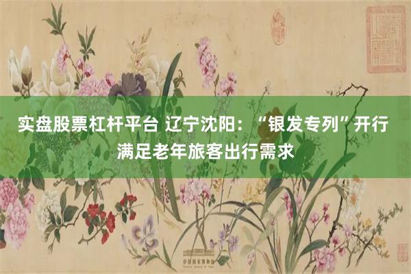 实盘股票杠杆平台 辽宁沈阳：“银发专列”开行 满足老年旅客出行需求
