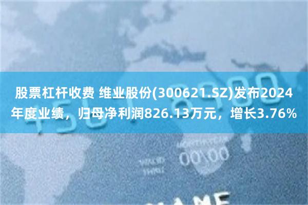 股票杠杆收费 维业股份(300621.SZ)发布2024年度业绩，归母净利润826.13万元，增长3.76%