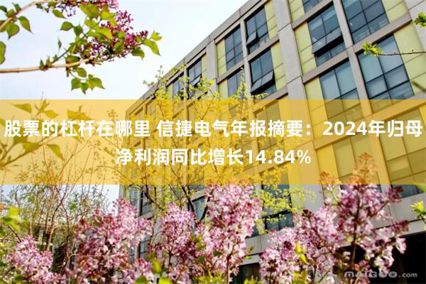 股票的杠杆在哪里 信捷电气年报摘要：2024年归母净利润同比增长14.84%