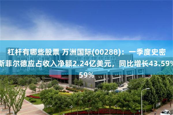 杠杆有哪些股票 万洲国际(00288)：一季度史密斯菲尔德应占收入净额2.24亿美元，同比增长43.59%