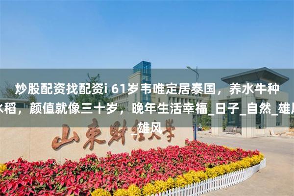 炒股配资找配资i 61岁韦唯定居泰国，养水牛种水稻，颜值就像三十岁，晚年生活幸福_日子_自然_雄风