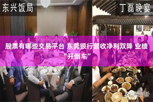 股票有哪些交易平台 东莞银行营收净利双降 业绩“开倒车”