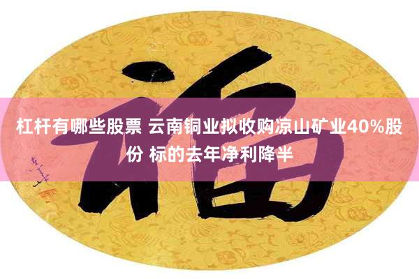杠杆有哪些股票 云南铜业拟收购凉山矿业40%股份 标的去年净利降半