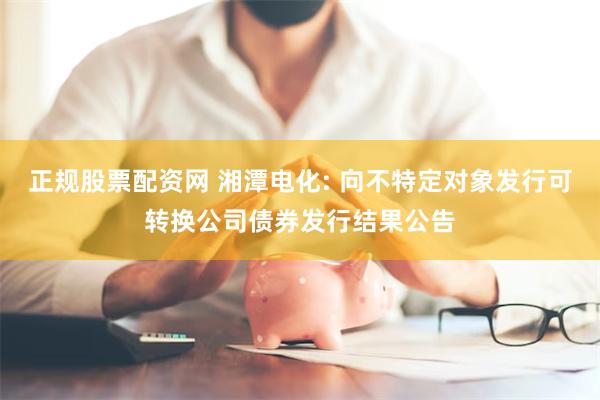 正规股票配资网 湘潭电化: 向不特定对象发行可转换公司债券发行结果公告