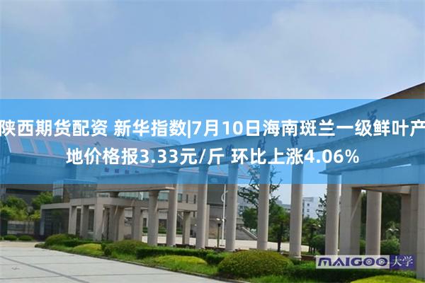 陕西期货配资 新华指数|7月10日海南斑兰一级鲜叶产地价格报3.33元/斤 环比上涨4.06%