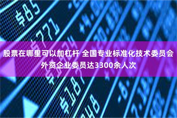 股票在哪里可以加杠杆 全国专业标准化技术委员会外资企业委员达3300余人次