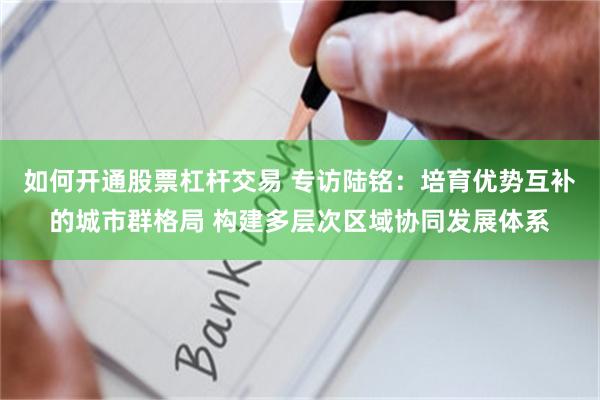 如何开通股票杠杆交易 专访陆铭：培育优势互补的城市群格局 构建多层次区域协同发展体系