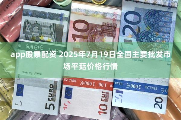 app股票配资 2025年7月19日全国主要批发市场平菇价格行情