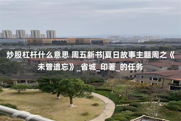 炒股杠杆什么意思 周五新书|夏日故事主题周之《未曾遗忘》_省城_印著_的任务