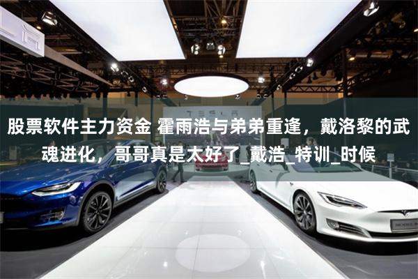 股票软件主力资金 霍雨浩与弟弟重逢，戴洛黎的武魂进化，哥哥真是太好了_戴浩_特训_时候